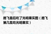 路飞最后吃了光明果实图（路飞第几集吃光明果实）