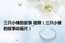 三只小猪的故事 视频（三只小猪的故事动画片）