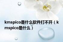 kmspico是什么软件打不开（kmspico是什么）