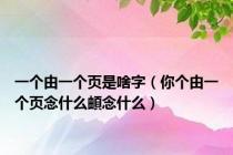 一个由一个页是啥字（你个由一个页念什么頔念什么）