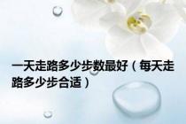 一天走路多少步数最好（每天走路多少步合适）