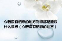 心若没有栖息的地方到哪都是流浪什么意思（心若没有栖息的地方）