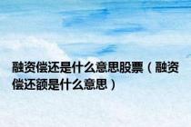 融资偿还是什么意思股票（融资偿还额是什么意思）