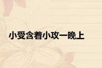 小受含着小攻一晚上