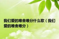 我们爱的难舍难分什么歌（我们爱的难舍难分）