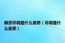 融资尽调是什么意思（尽调是什么意思）