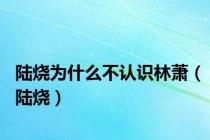 陆烧为什么不认识林萧（陆烧）