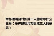 举杯邀明月对影成三人的意思什么生肖（举杯邀明月对影成三人的意思）
