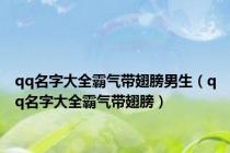 qq名字大全霸气带翅膀男生（qq名字大全霸气带翅膀）