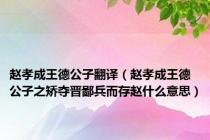 赵孝成王德公子翻译（赵孝成王德公子之矫夺晋鄙兵而存赵什么意思）