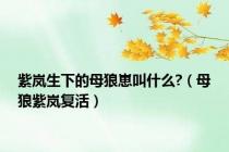紫岚生下的母狼崽叫什么?（母狼紫岚复活）