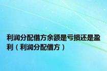 利润分配借方余额是亏损还是盈利（利润分配借方）