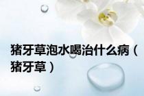 猪牙草泡水喝治什么病（猪牙草）