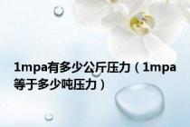 1mpa有多少公斤压力（1mpa等于多少吨压力）