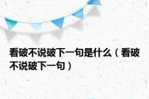 看破不说破下一句是什么（看破不说破下一句）