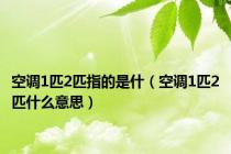 空调1匹2匹指的是什（空调1匹2匹什么意思）