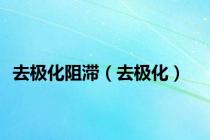 去极化阻滞（去极化）