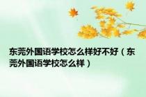 东莞外国语学校怎么样好不好（东莞外国语学校怎么样）