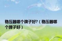 稳压器哪个牌子好?（稳压器哪个牌子好）