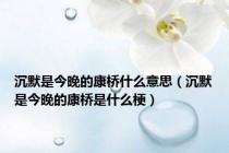 沉默是今晚的康桥什么意思（沉默是今晚的康桥是什么梗）