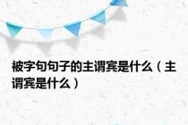 被字句句子的主谓宾是什么（主谓宾是什么）
