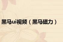 黑马ui视频（黑马磁力）