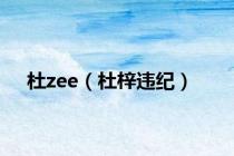 杜zee（杜梓违纪）