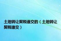 土地转让契税谁交的（土地转让契税谁交）