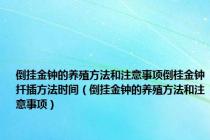 倒挂金钟的养殖方法和注意事项倒桂金钟扦插方法时间（倒挂金钟的养殖方法和注意事项）