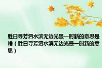 胜日寻芳泗水滨无边光景一时新的意思是啥（胜日寻芳泗水滨无边光景一时新的意思）
