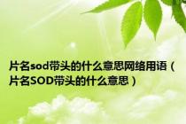 片名sod带头的什么意思网络用语（片名SOD带头的什么意思）