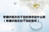 老骥伏枥志在千里的意思是什么呢（老骥伏枥志在千里的意思）