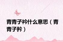 青青子衿什么意思（青青子矜）