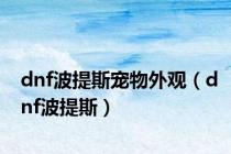 dnf波提斯宠物外观（dnf波提斯）