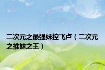 二次元之最强妹控飞卢（二次元之推妹之王）