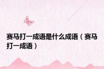 赛马打一成语是什么成语（赛马打一成语）
