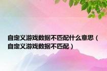 自定义游戏数据不匹配什么意思（自定义游戏数据不匹配）