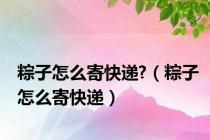 粽子怎么寄快递?（粽子怎么寄快递）