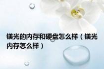 镁光的内存和硬盘怎么样（镁光内存怎么样）