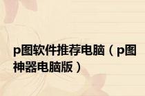 p图软件推荐电脑（p图神器电脑版）