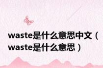 waste是什么意思中文（waste是什么意思）