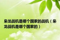 枭龙战机是哪个国家的战机（枭龙战机是哪个国家的）