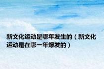 新文化运动是哪年发生的（新文化运动是在哪一年爆发的）