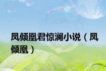 凤倾凰君惊澜小说（凤倾凰）