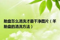 胎盘怎么清洗才最干净图片（羊胎盘的清洗方法）