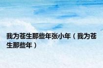 我为苍生那些年张小年（我为苍生那些年）
