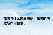 花胶与什么炖最搭配（花胶的功效与作用禁忌）