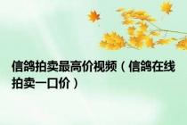 信鸽拍卖最高价视频（信鸽在线拍卖一口价）