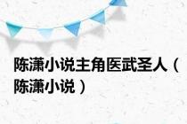 陈潇小说主角医武圣人（陈潇小说）