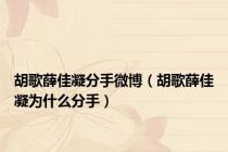 胡歌薛佳凝分手微博（胡歌薛佳凝为什么分手）